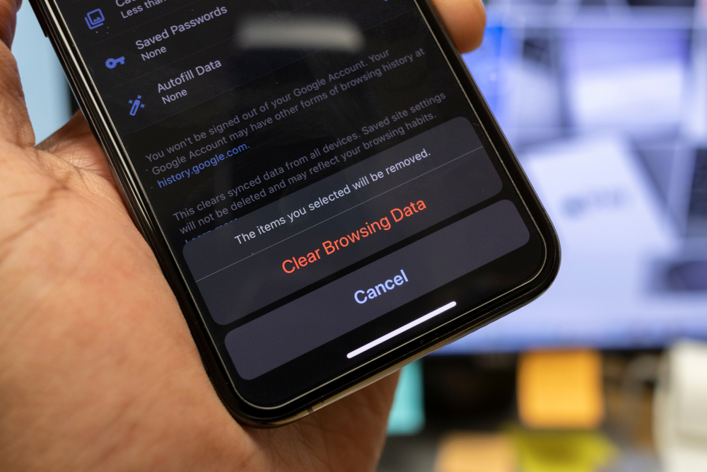 how to check search history on iphone in settings