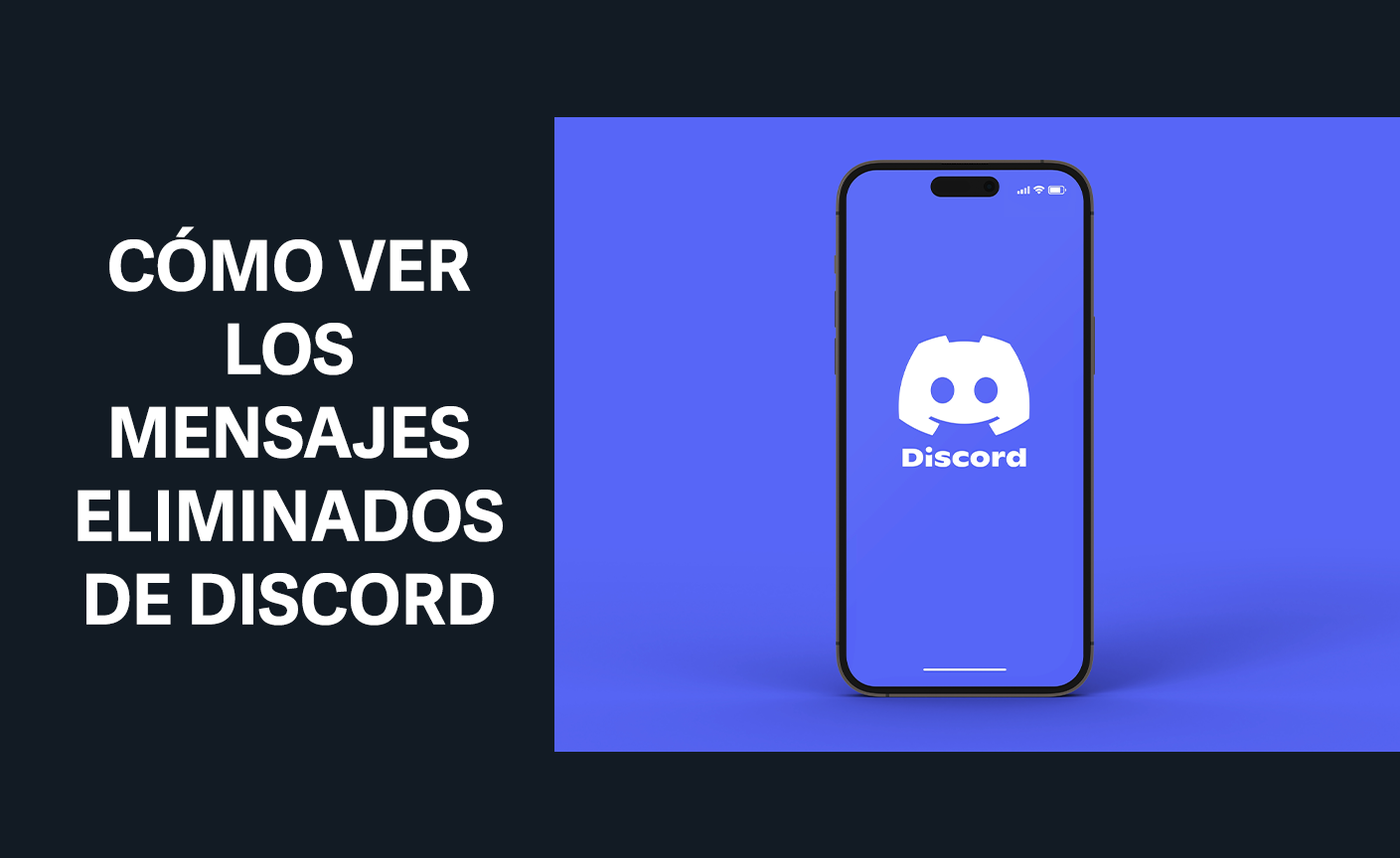 como ver los mensajes borrados en discord